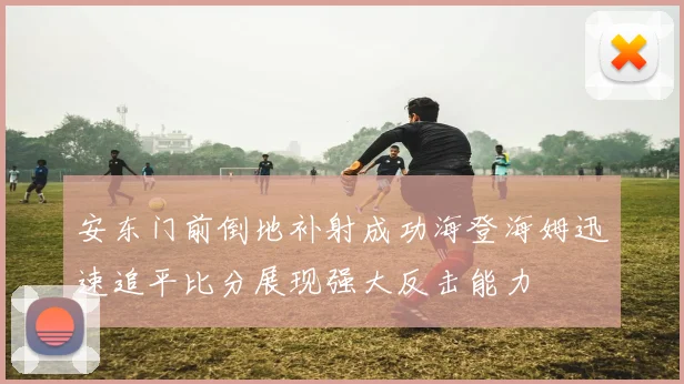 安东门前倒地补射成功海登海姆迅速追平比分展现强大反击能力